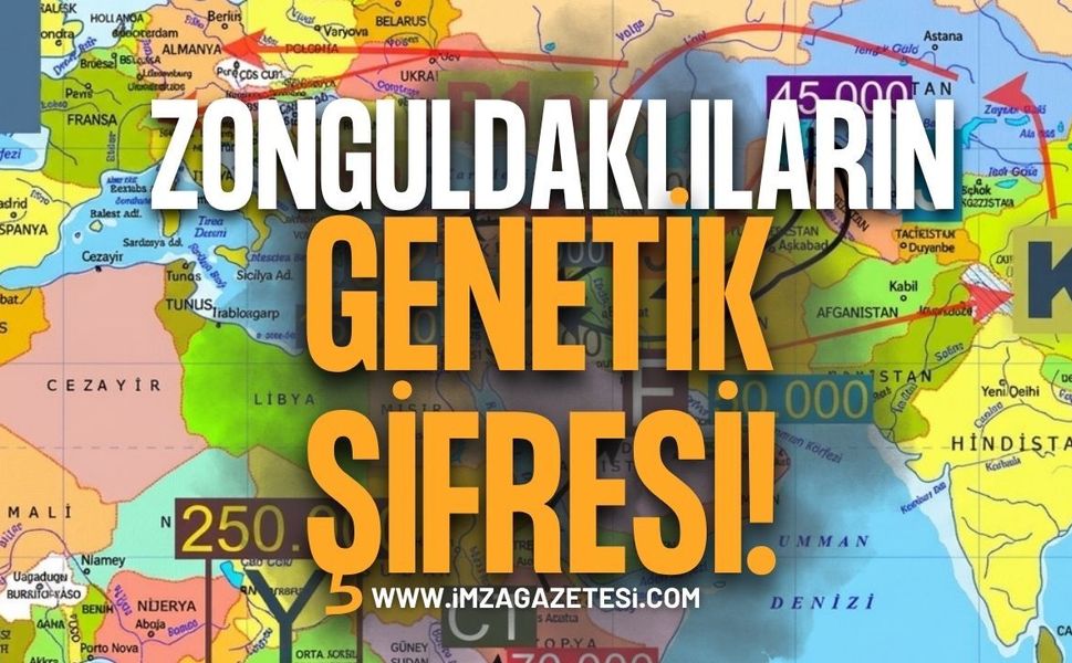 Zonguldaklıların Genetik Şifreleri!