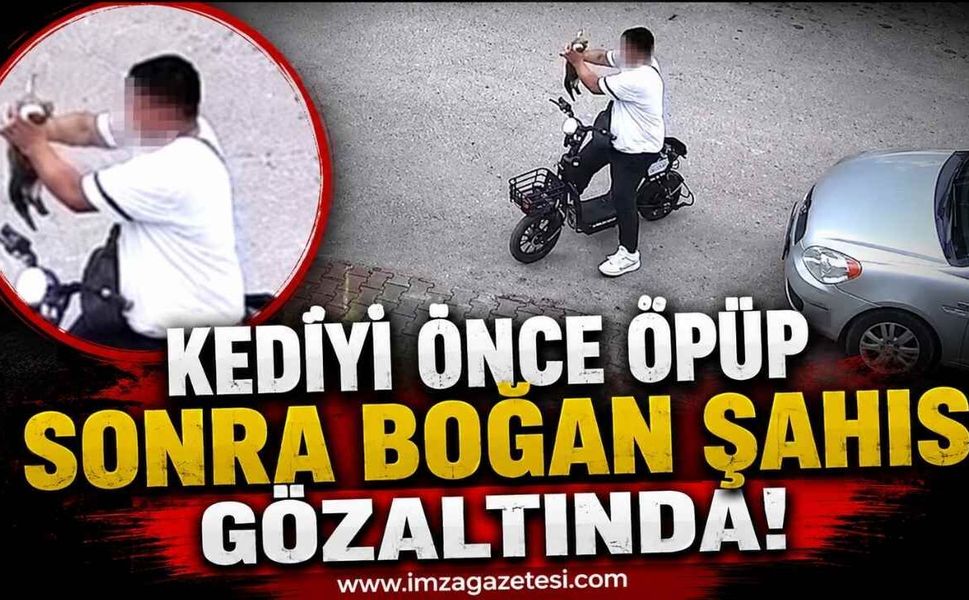 Kediyi Önce Öpüp Sonra Boğan Şahıs Gözaltında!
