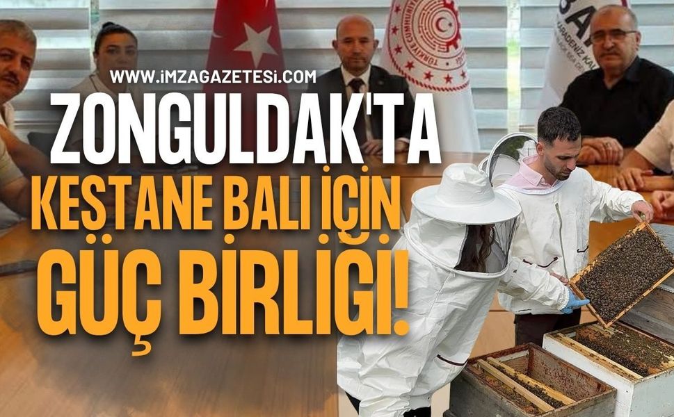 Zonguldak'ta Kestane Balı İçin Güç Birliği!