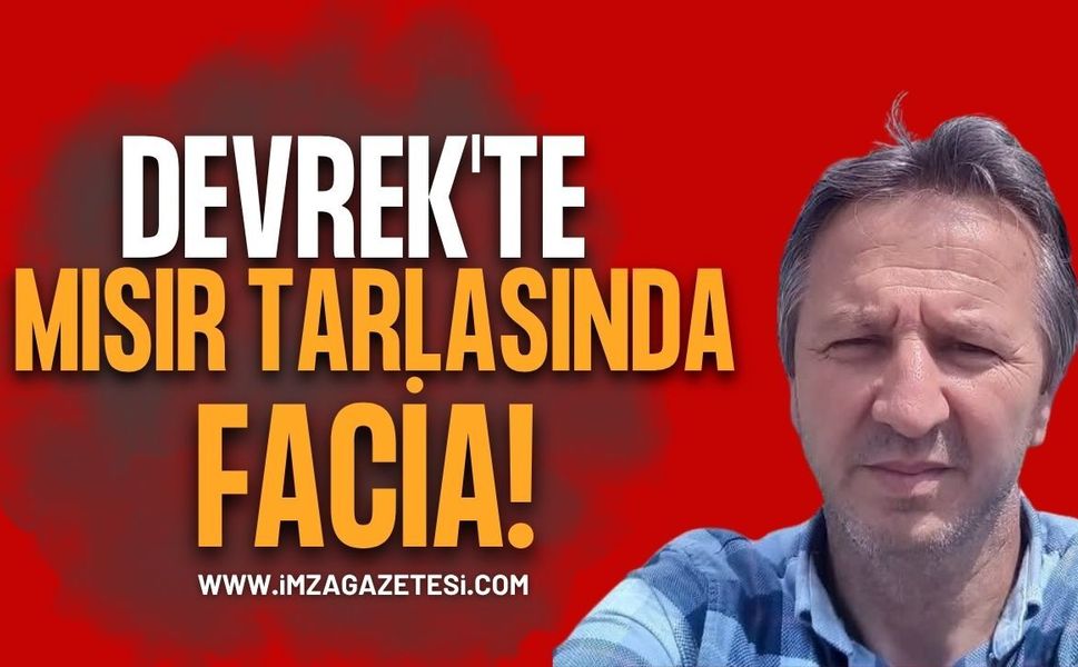 Devrek'te Mısır Tarlasında Facia!