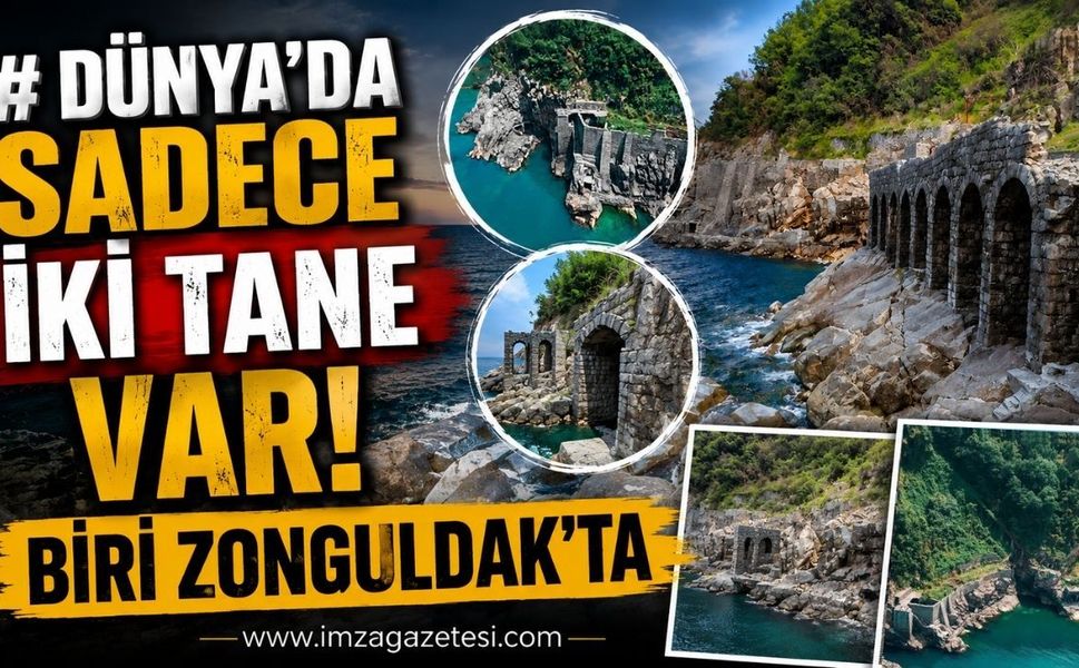 Dünya’da sadece iki tane var! Biri Zonguldak’ta