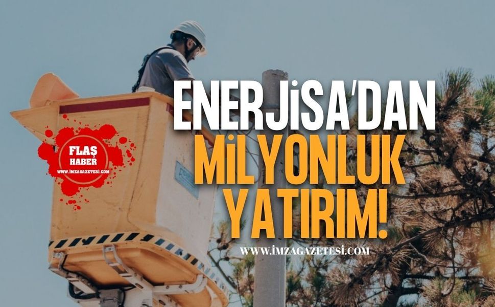 Enerjisa Enerji A.Ş Milyonluk Yatırım!