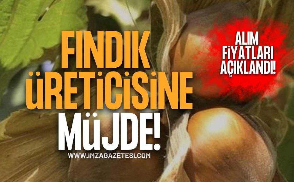 Fındık Üreticisine Müjde! TMO 2026/27 Sezonu Alım Fiyatlarını Açıkladı