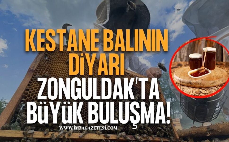Kestane Balının Diyarı Zonguldak'ta Büyük Buluşma!