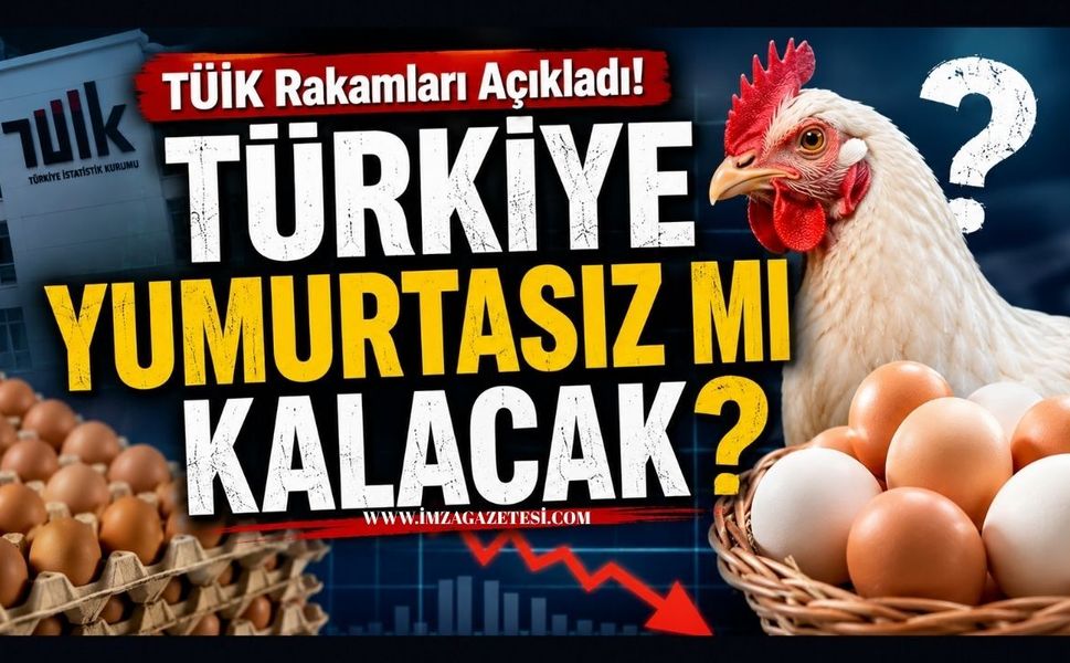 TÜİK Rakamları Açıkladı! Türkiye Yumurtasız Mı Kalacak?