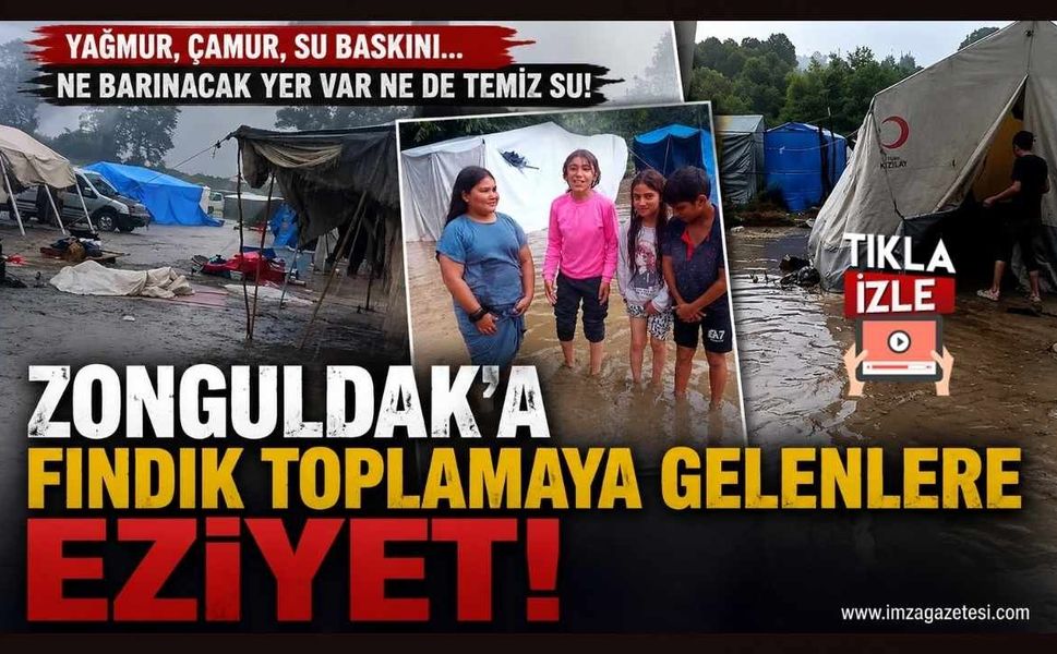 Zonguldak'a Fındık Toplamaya Gelenlere Eziyet!