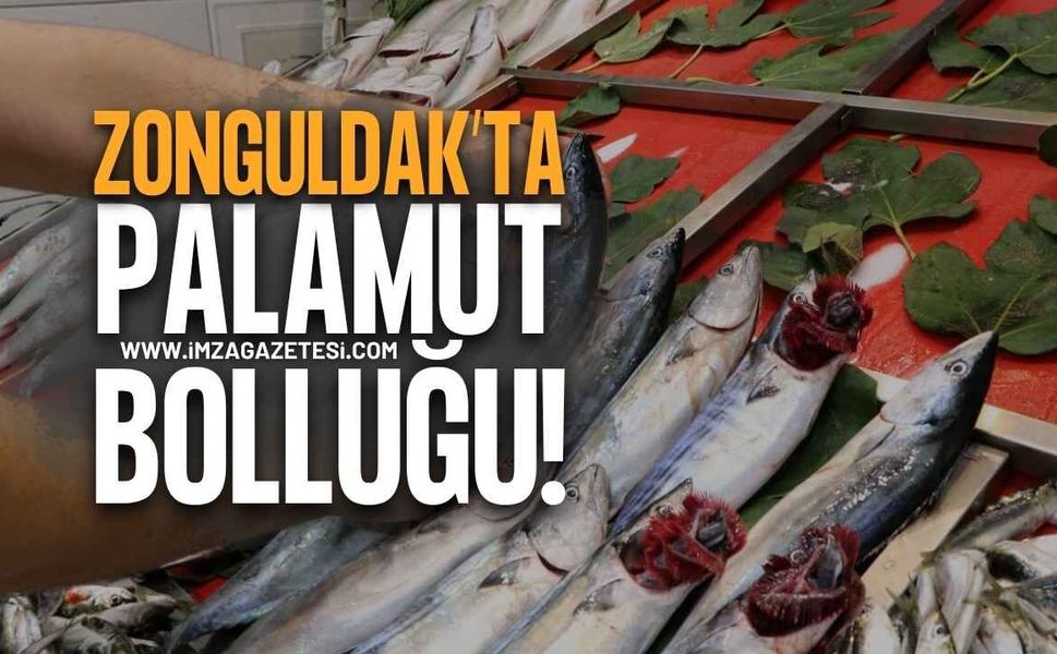 Zonguldak Balıkçı Tezgahlarında Palamut Bolluğu: Tanesi 100 TL'den Satışta!