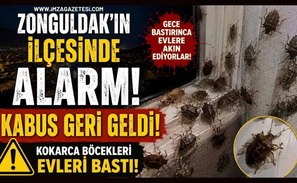 Zonguldak'ın ilçesinde Alarmı! Kabus geri geldi!