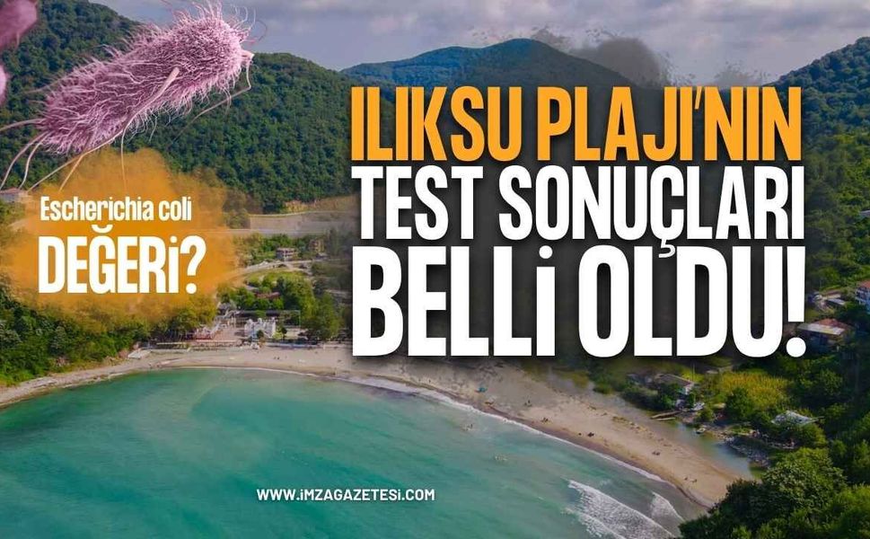 Zonguldak Kozlu Ilıksu Plajı Deniz Suyu Analizi Sonuçlandı: Denize Girmek Güvenli mi?