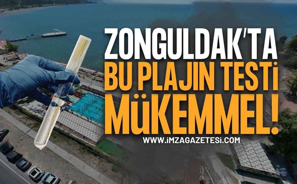 Zonguldak’taki O Plajların Deniz Suyu Kalitesi Mükemmel!