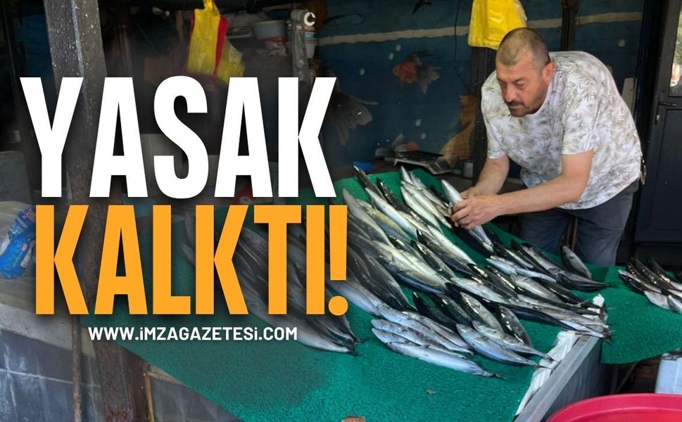 Yasak Kalktı! Zonguldak’ta Balıkçıların Tezgahları Palamutla Şenlendi!