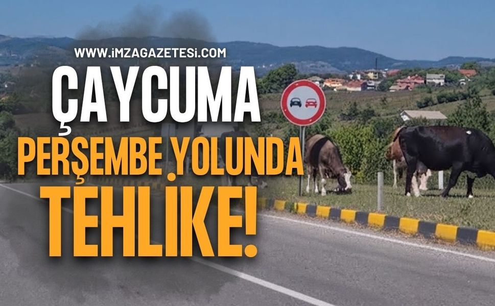 Çaycuma-Perşembe Yolunda Tehlike Sürüyor!