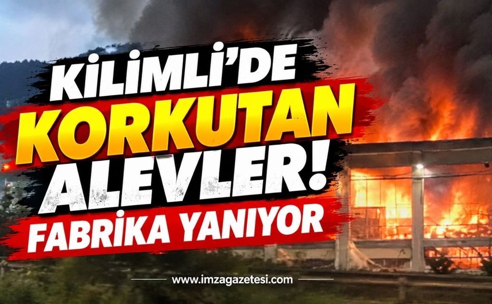 Kilimli'de Korkutan Alevler! Fabrika Yanıyor