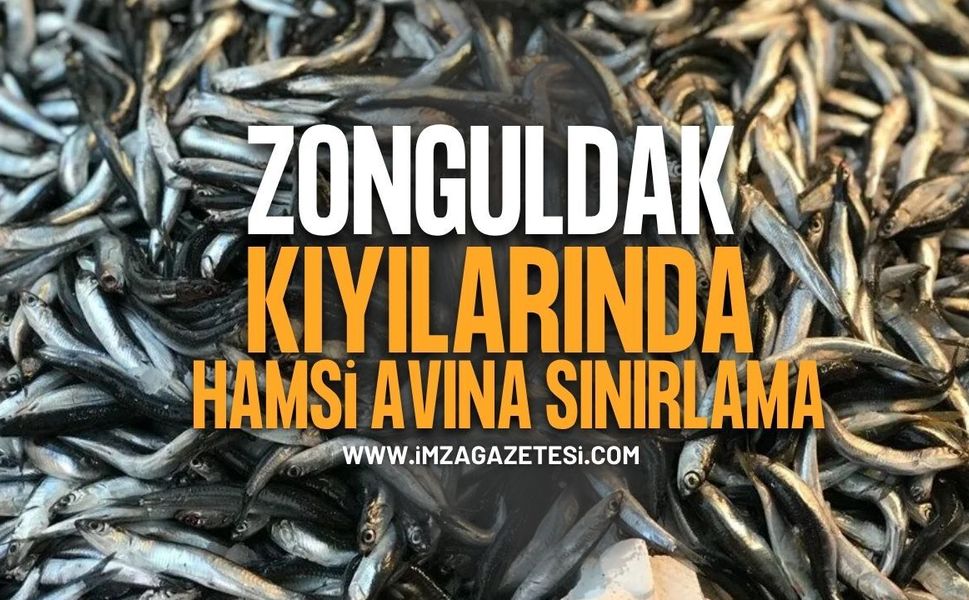 Zonguldak Kıyılarında Hamsi Avına Saat Sınırı