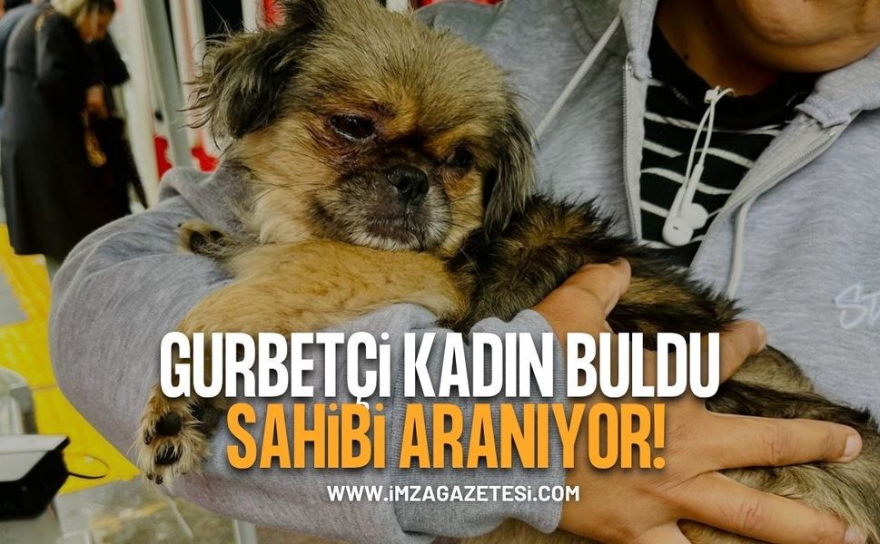 Gurbetçi Kadın Buldu Sahibi Aranıyor!