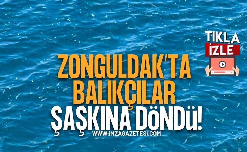 Zonguldak'ta Balıkçılar Şaşkına Döndü!