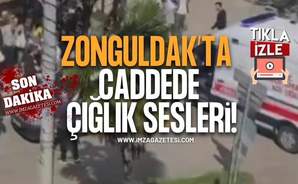 Zonguldak'ta Çığlık Sesleri