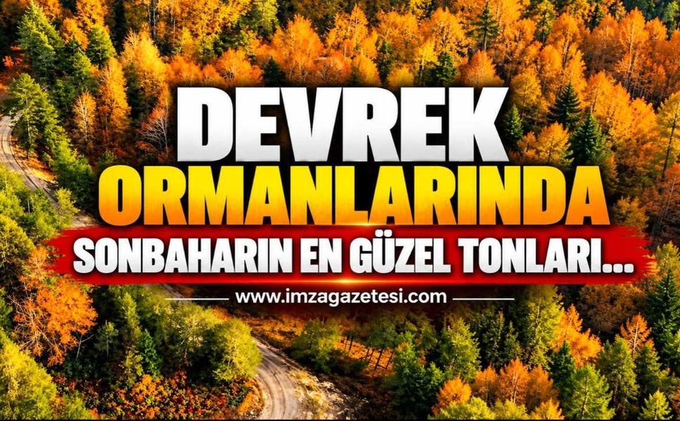 Devrek Ormanlarında Sonbaharın En Güzel Tonları…