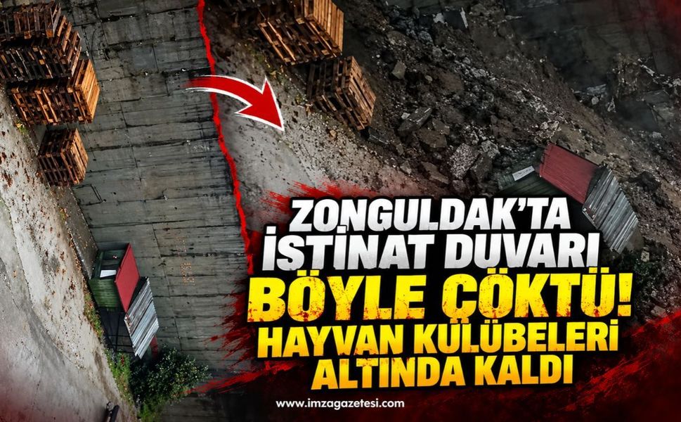 Zonguldak'ta İstinat Duvarı Böyle Çöktü! Hayvan Kulübeleri Altında Kaldı