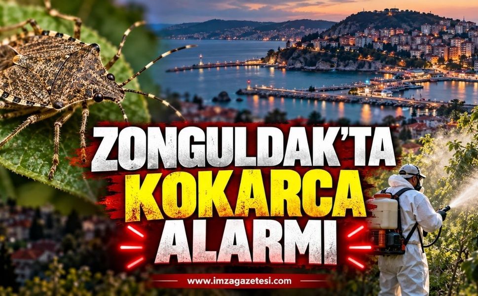 Zonguldak'ta Kokarca Alarmı