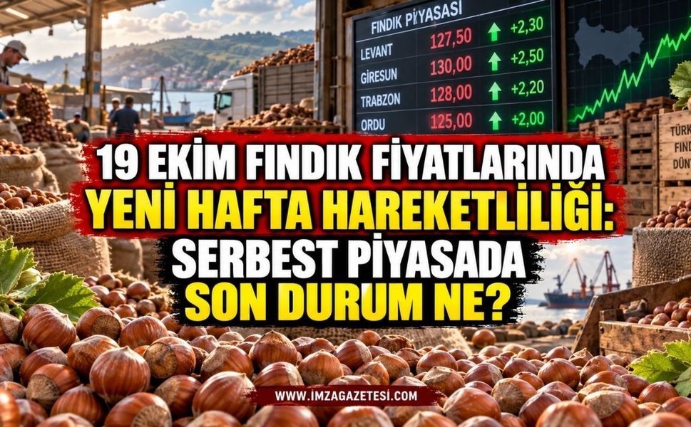 19 Ekim Fındık Fiyatlarında Yeni Hafta Hareketliliği: Serbest Piyasada Son Durum Ne?