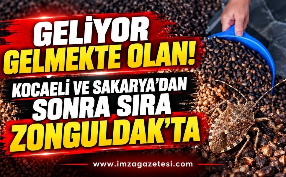 Geliyor gelmekte olan! Kocaeli ve Sakarya'dan sonra sıra Zonguldak'ta...