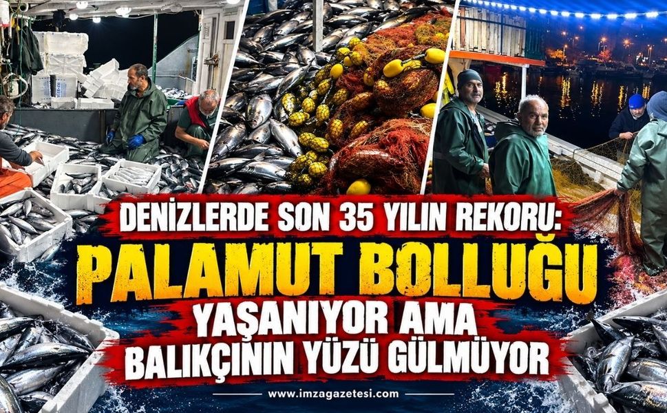 Denizlerde Son 35 Yılın Rekoru: Palamut Bolluğu Yaşanıyor Ama Balıkçının Yüzü Gülmüyor