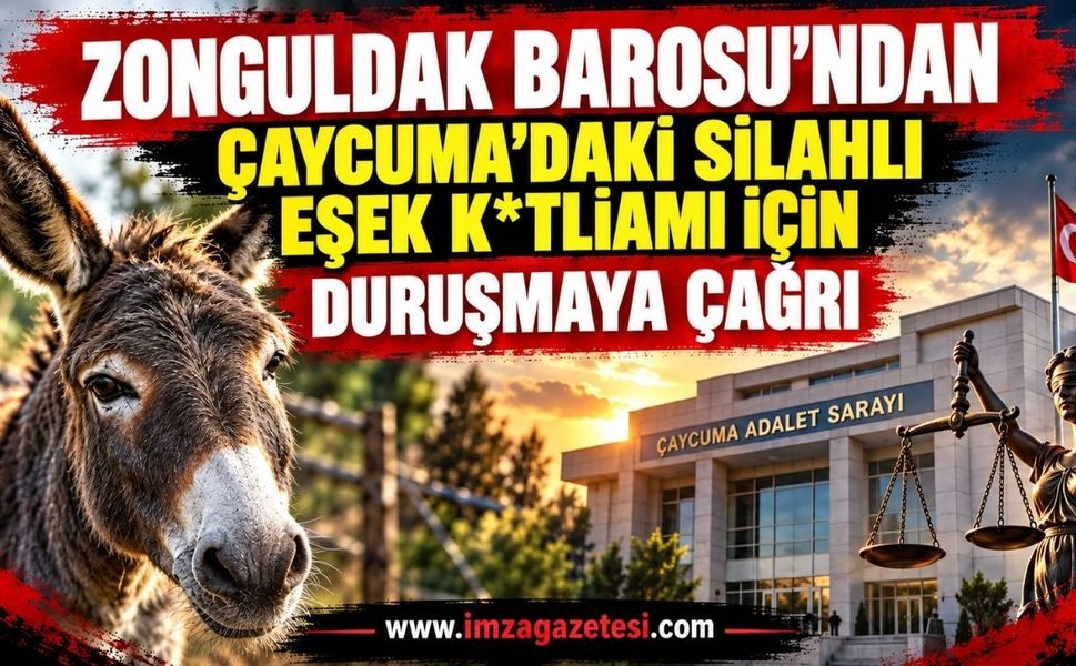 Zonguldak Barosu’ndan Çaycuma’daki Silahlı Eşek K*tliamı İçin Duruşmaya Çağrı
