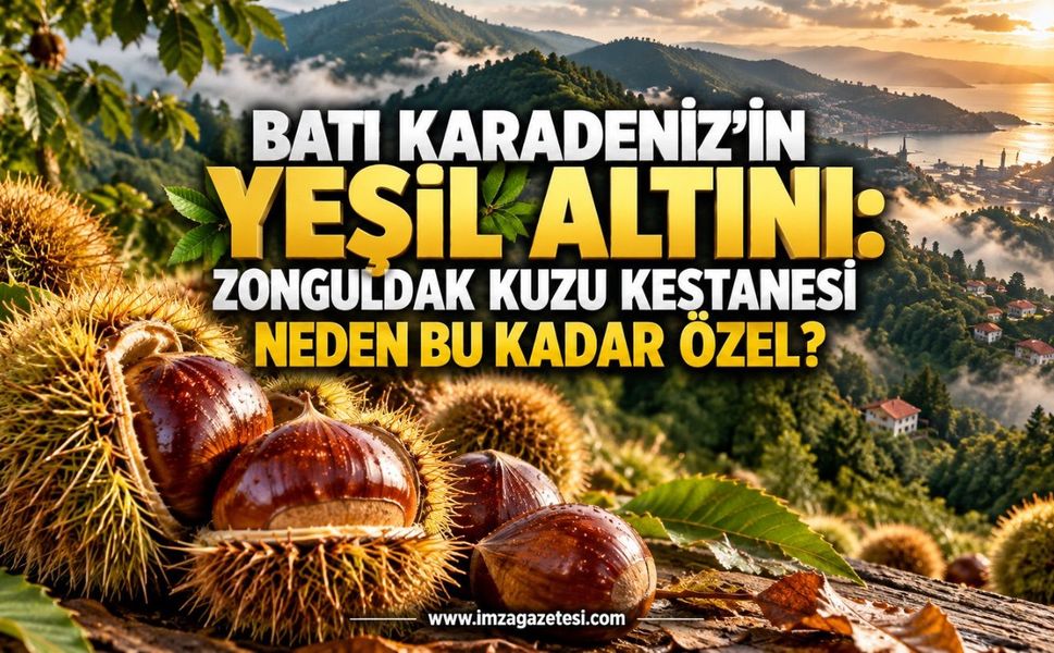 Batı Karadeniz’in Yeşil Altını: Zonguldak Kuzu Kestanesi Neden Bu Kadar Özel?