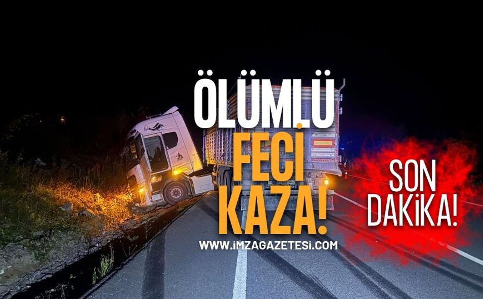 Zonguldak'ın İlçesinde Ö*lümlü Kaza!