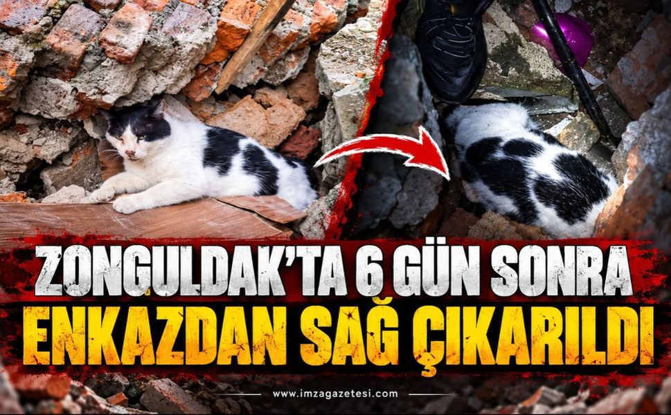 Zonguldak'ta 6 Gün Sonra Enkazdan Sağ Çıkarıldı