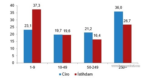 Girişimde en yüksek pay hangi sektörde TÜİK açıkladı... (3)