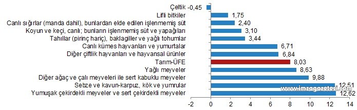 TÜİK tarım- ÜFE verilerini açıkladı! (4)