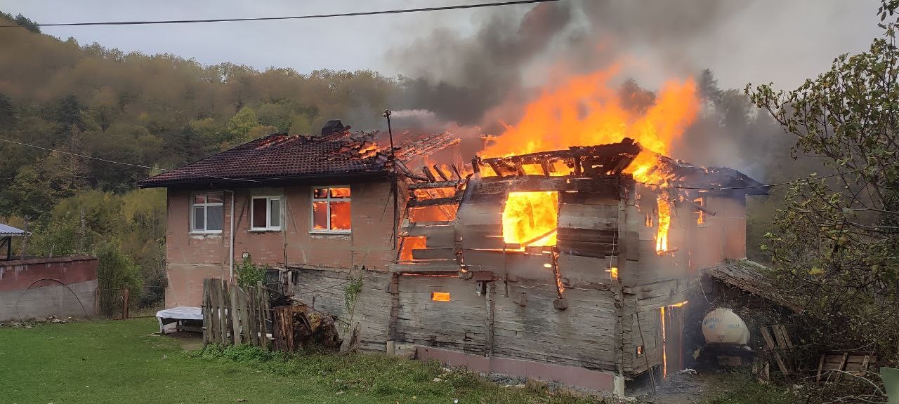 Bartın'ın köyünde yangın! (3)