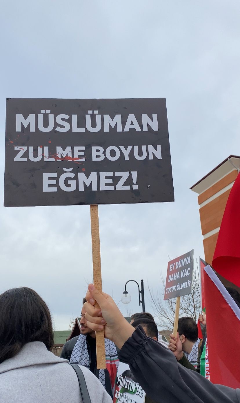 Kastamonu Üniversitesi öğrencilerinden Filistin'e destek protestosu! (3)