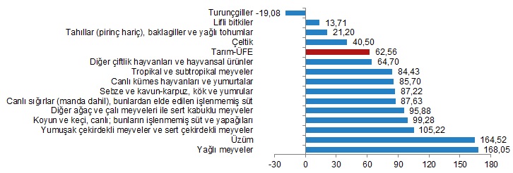 Tarımda %62,56 artış var! (3)