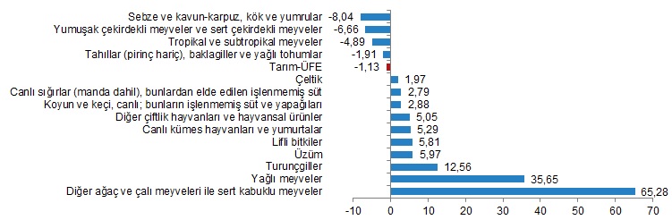 Tarımda %62,56 artış var! (4)