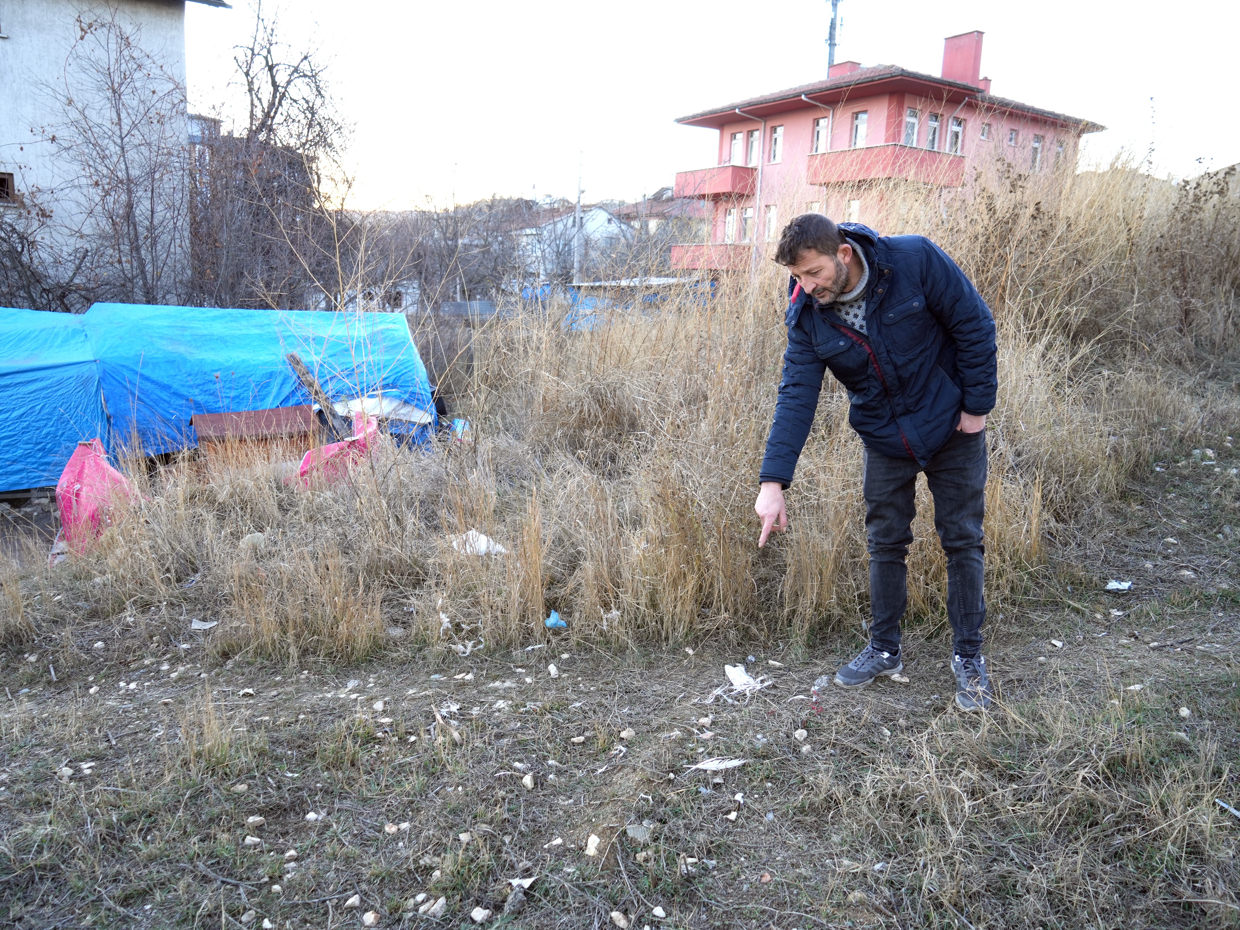 Kastamonu'da çiftlik hayali kuran kadının 40 tavuğu sokak köpeklerinin kurbanı oldu (4)