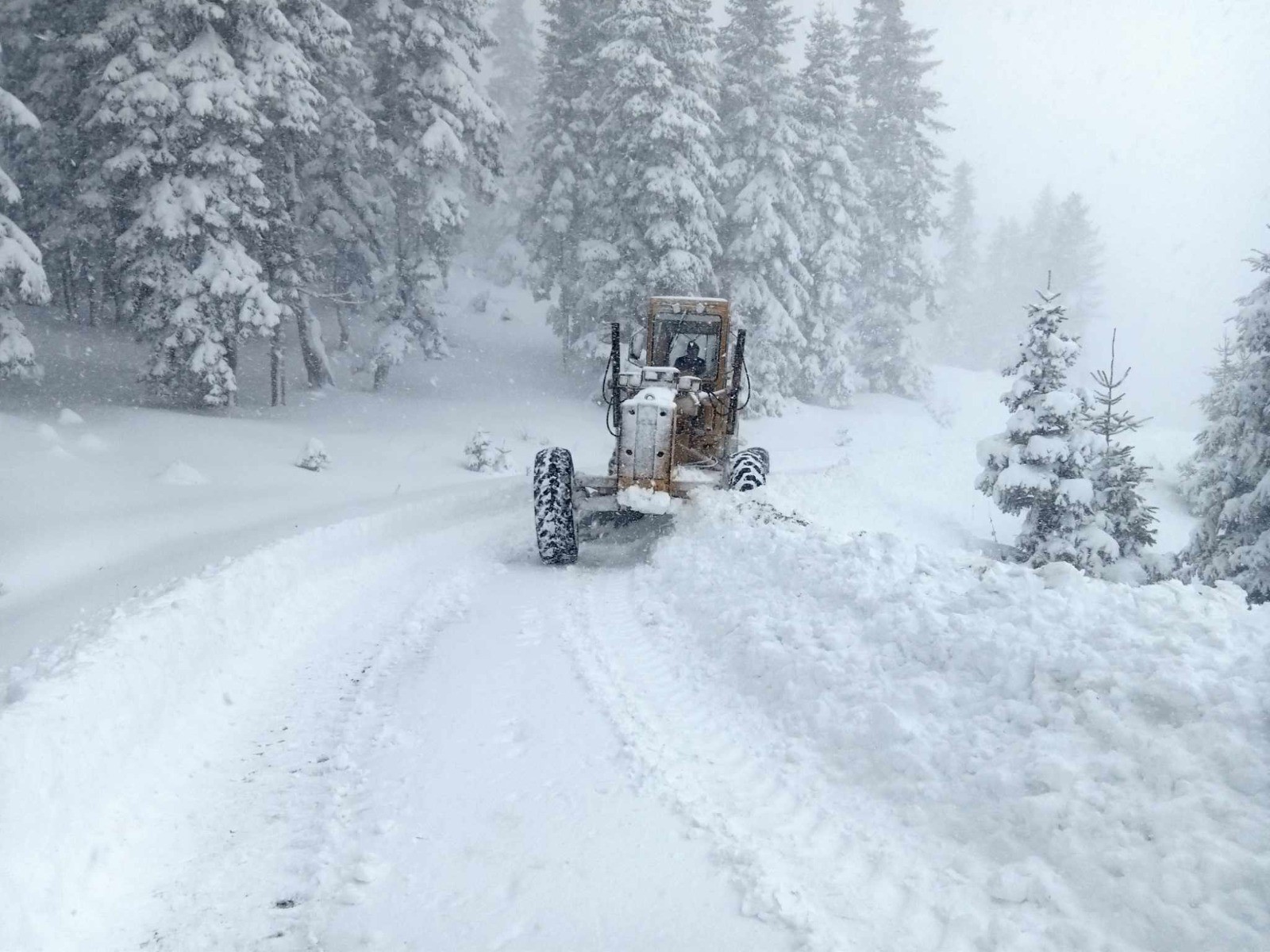 Yoğun Kar Yağışı Yüzlerce Köy Yolunu Kapattı! (4)