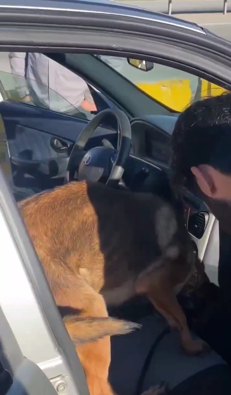 Kastamonu'da Narkotik Köpeği 'Ceku' Ile Uyuşturucu Operasyonu! (2)