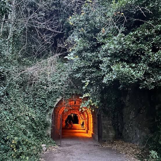 Zonguldak Varagel Tüneli Sanayi Mirası Bugün Turistlerin Gözdesi! (1)