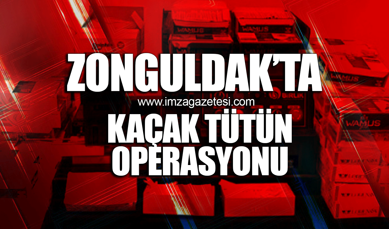 Zonguldak'ta kaçak tütün operasyonu!