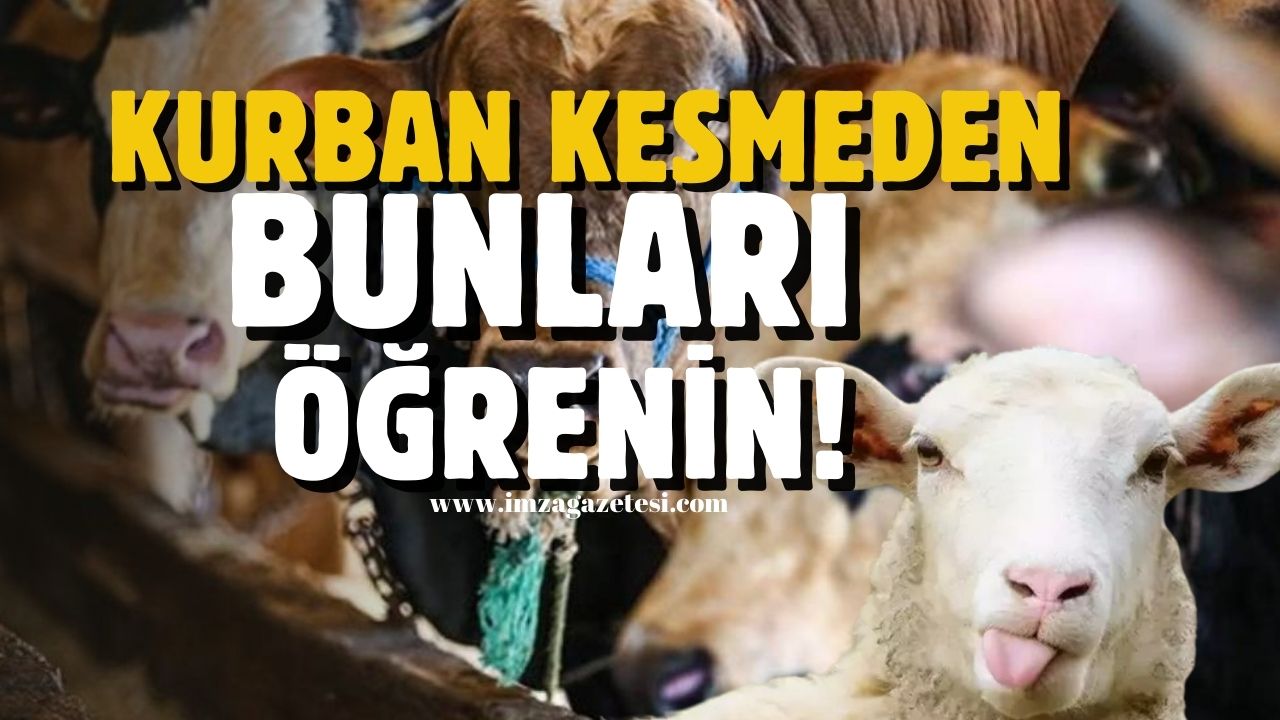 Kurban kesmek kimlere vacibtir? Kurbanla ilgili bilinmesi gerekenler...