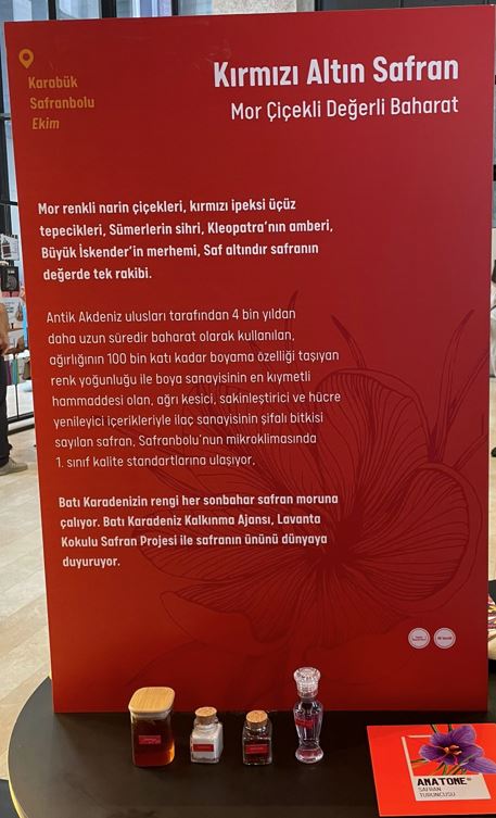 Zonguldak, Karabük, Bartın Dahil 81 Ilin Kültürel Zenginlikleri Küresel Arenaya Taşınıyor! (3)