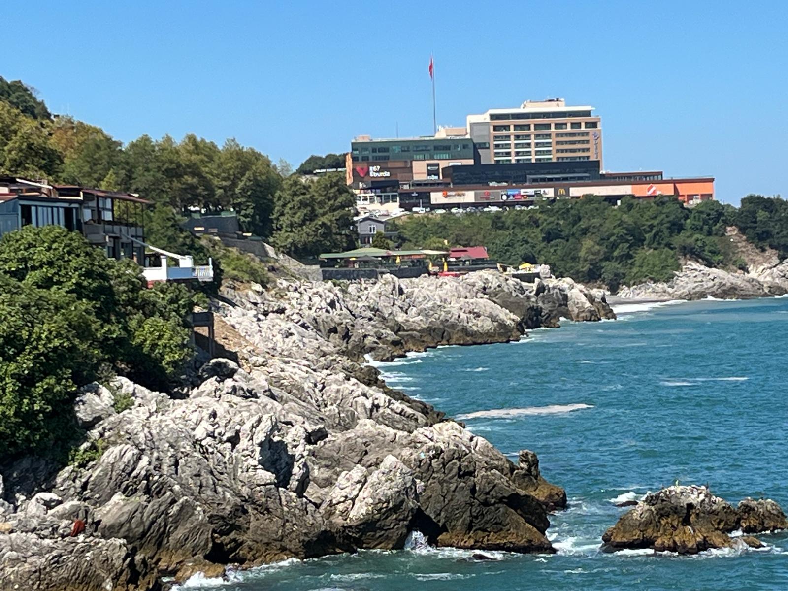 Mide Bulandıran Manzaranın Kökü Kazınılamıyor! Zonguldak Haberleri (3)