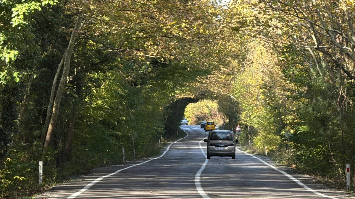 Bartın Ile Karabük Arası Unesco Mirasına Giden Yol... Dünyaca Tanınıyor Artık! Bartın Haberleri (2)