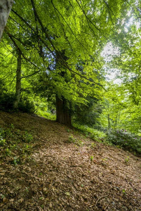 Doğanın Mucizesi Zonguldak'ta! Şifa Oluyor...zonguldak Haberleri (3)