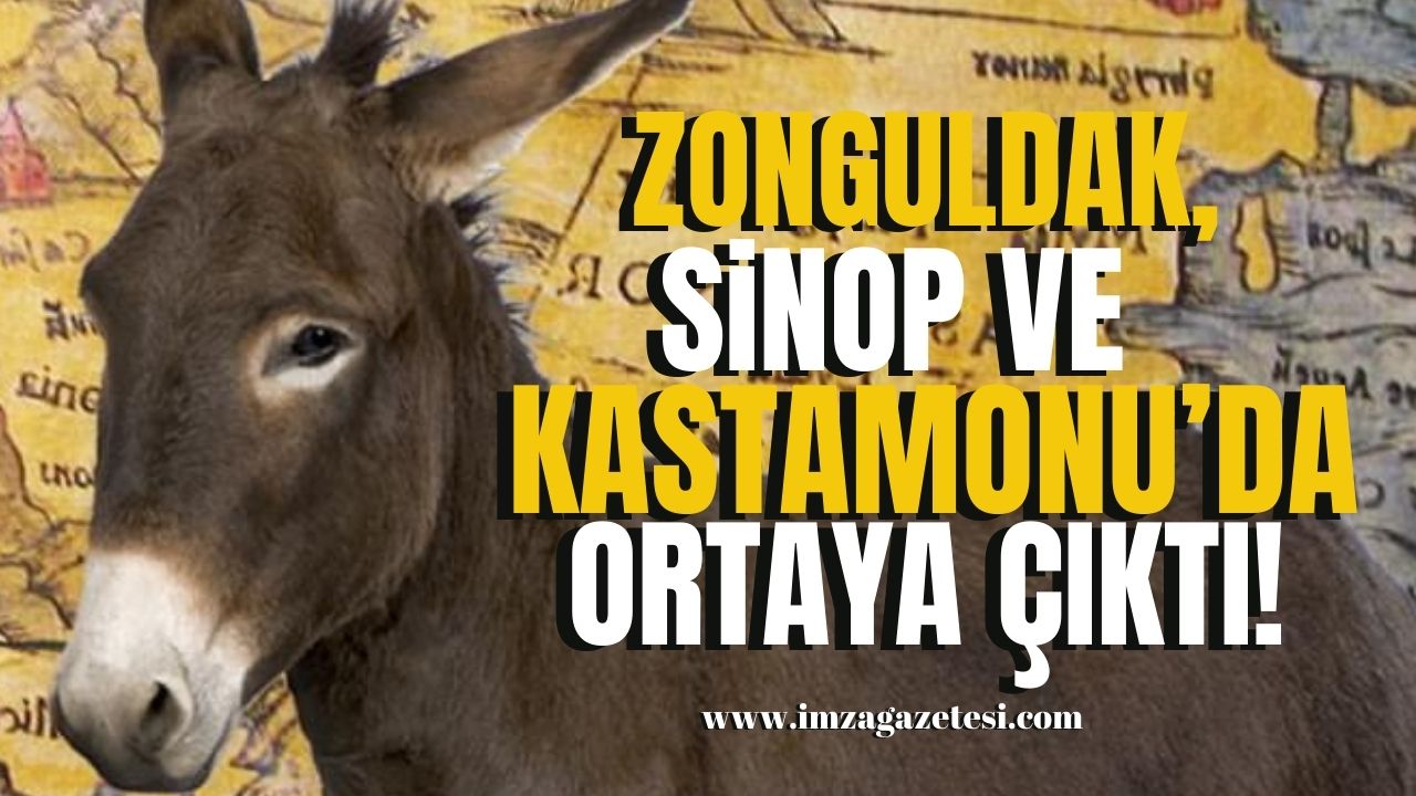 Zonguldak Haberleri Tarih