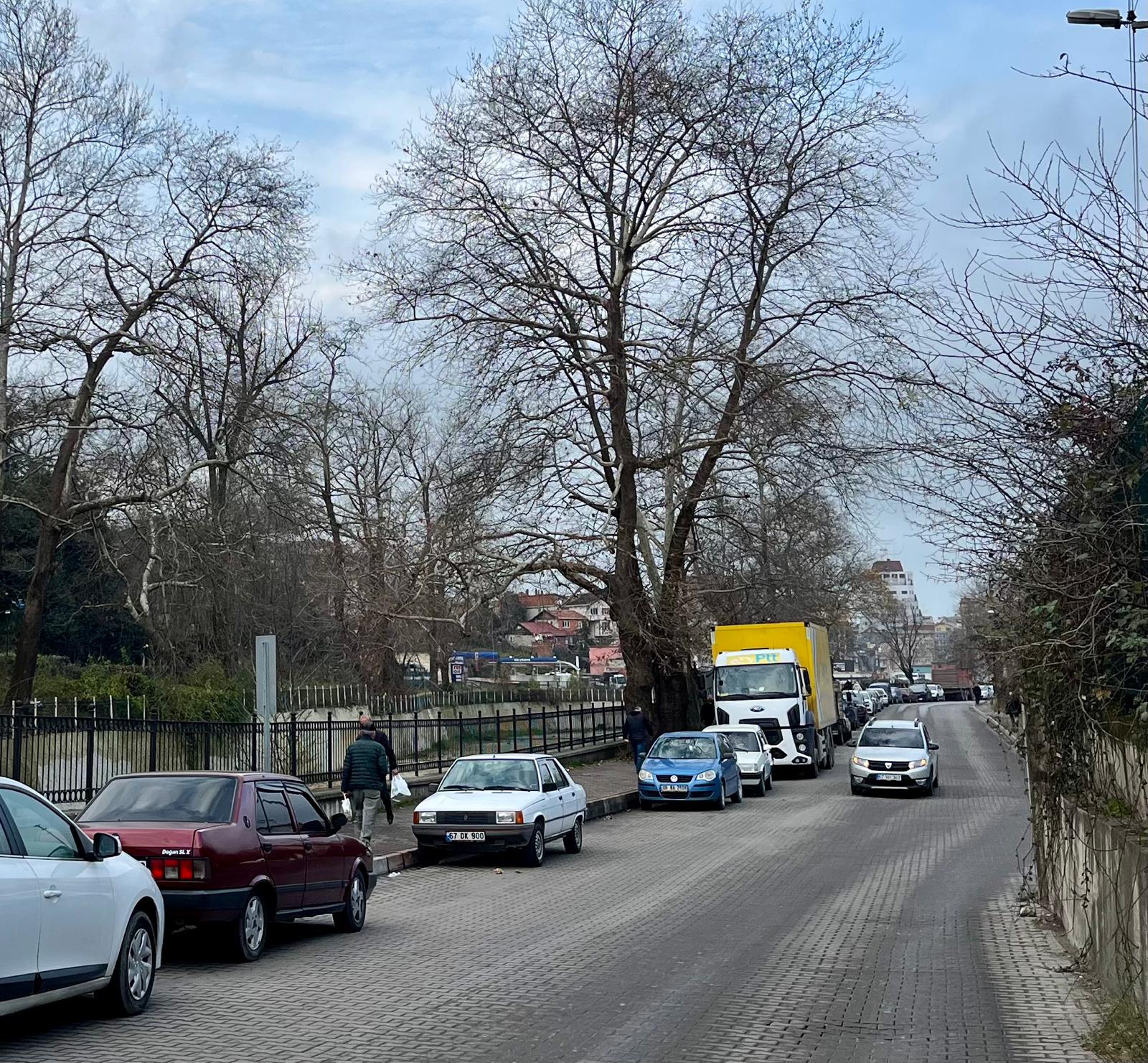 Zonguldak'ta Ücretsiz Otopark! Zonguldak Haber (2)