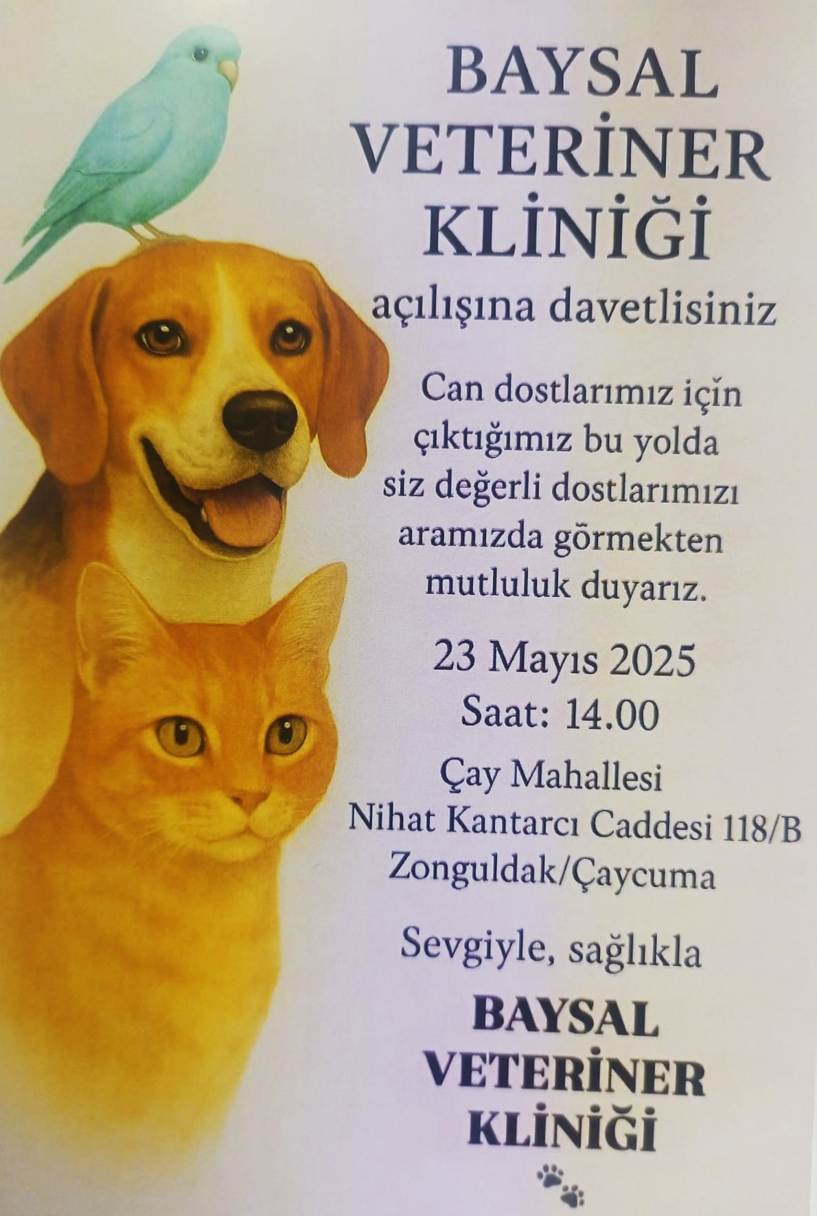 682F1345Bd3A7